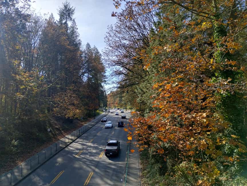 Capilano Suspension Br+Lake+Dam+Hachery/4in1/CAR/Small GROUP - Capilano Lake and Cleveland Dam