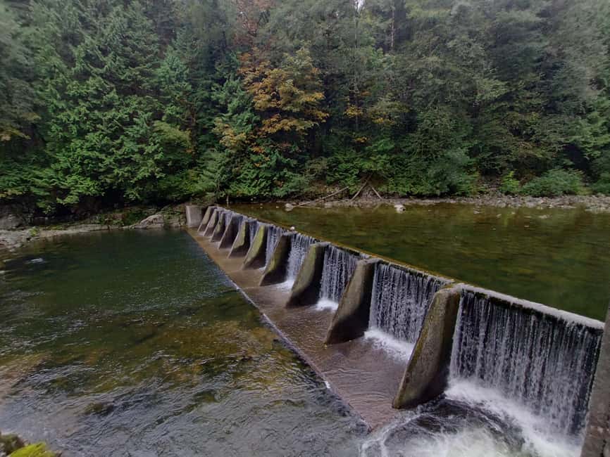 Capilano Suspension Br+Lake+Dam+Hachery/4in1/CAR/Small GROUP - The pace, group size, and practical tradeoffs
