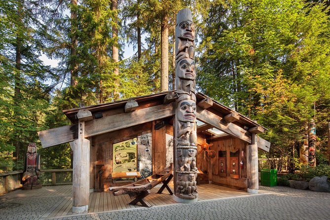 Capilano Suspension Bridge + Grouse Mountain Tour - Grouse Mountain, the Skyride, and the grizzly bears