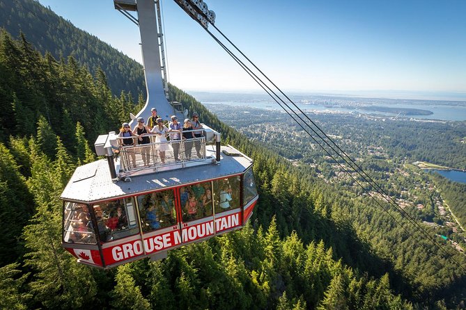 Capilano Suspension Bridge + Grouse Mountain Tour - Capilano Suspension Bridge Park and its cedar forest