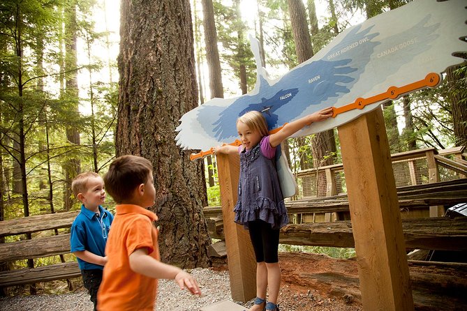 Capilano Suspension Bridge Park Ticket - Why Capilano is more than one suspension bridge