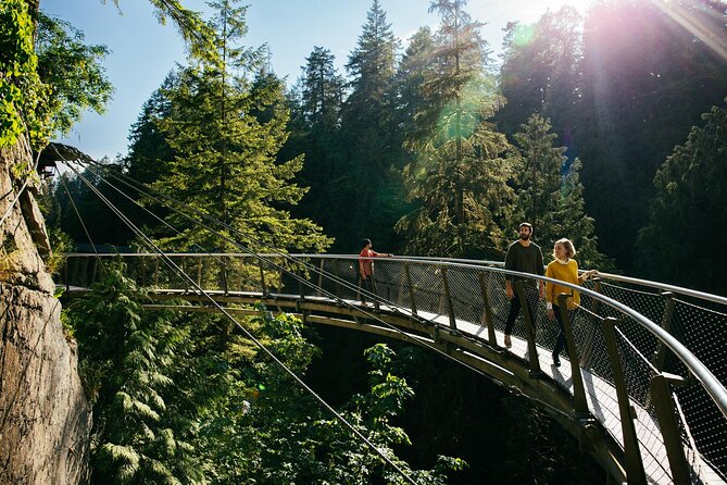Capilano Suspension Bridge Park Ticket - Treetops Adventure among the cedar trees