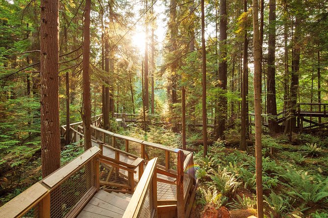 Capilano Suspension Bridge Park Ticket - How long to stay and what to do first