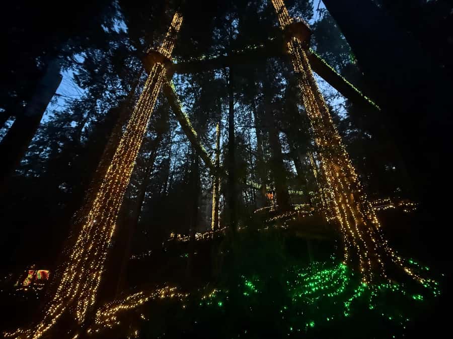 Capilano Suspension Bridge/Private/Small Group/By LUX CAR - Stanley Park and Lions Gate Bridge