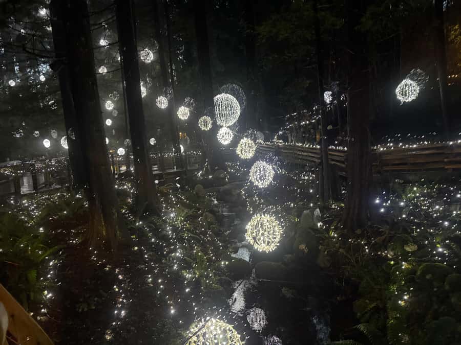 Capilano Suspension Bridge/Private/Small Group/By LUX CAR - Treetops Adventure among the forest canopy