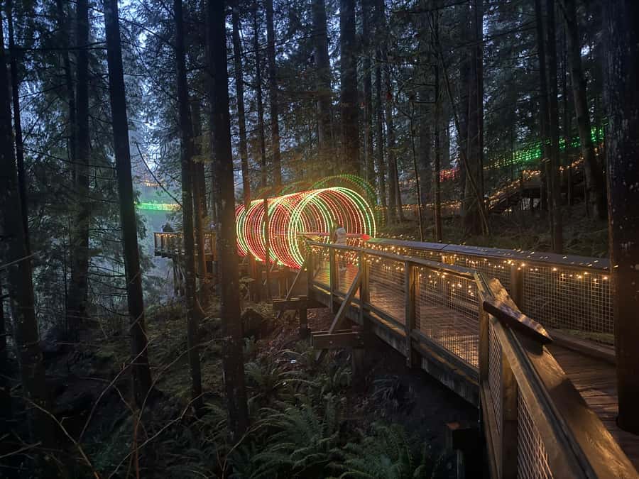 Capilano Suspension Bridge/Private/Small Group/By LUX CAR - The Raptor Show and live performances