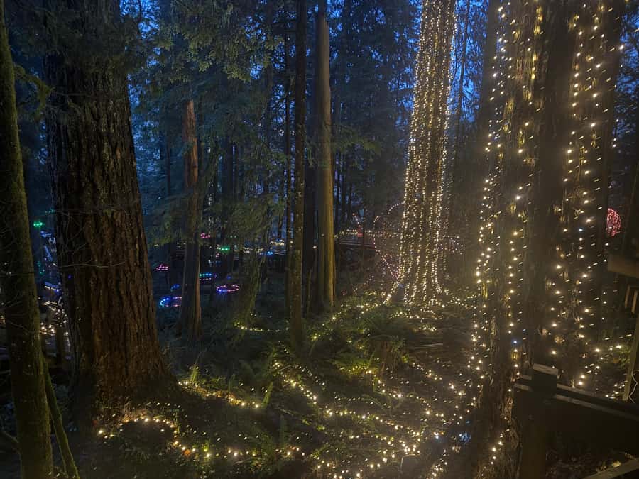 Capilano Suspension Bridge/Private/Small Group/By LUX CAR - Is $136 a good value?
