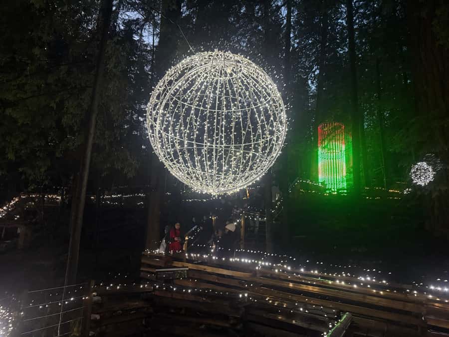 Capilano Suspension Bridge/Private/Small Group/By LUX CAR - Timing, pickup, and what to plan around