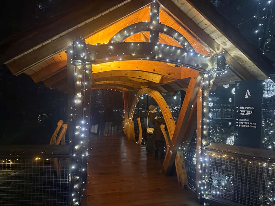 Capilano Suspension Bridge/Private/Small Group/By LUX CAR - Who will enjoy this tour most?