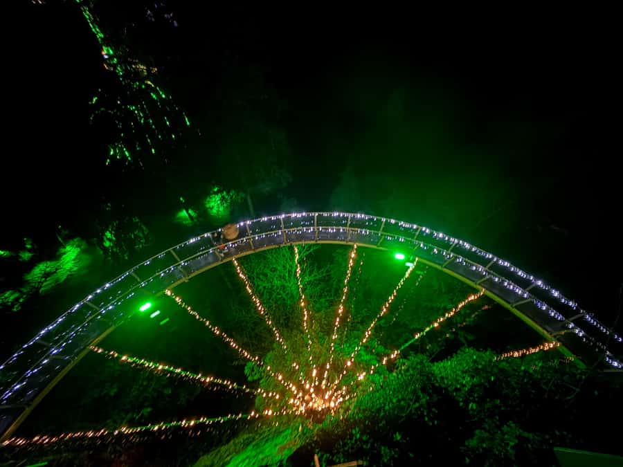 Capilano Suspension Bridge/Private/Small Group/By LUX CAR - Walking 137 meters above the Capilano River