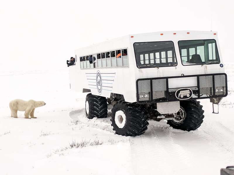 Churchill: Exclusive Tundra Buggy Day Trip - Key points to know before you book