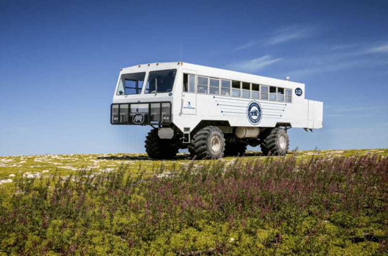 Churchill: Exclusive Tundra Buggy Day Trip - Waiting, watching, and getting the best view