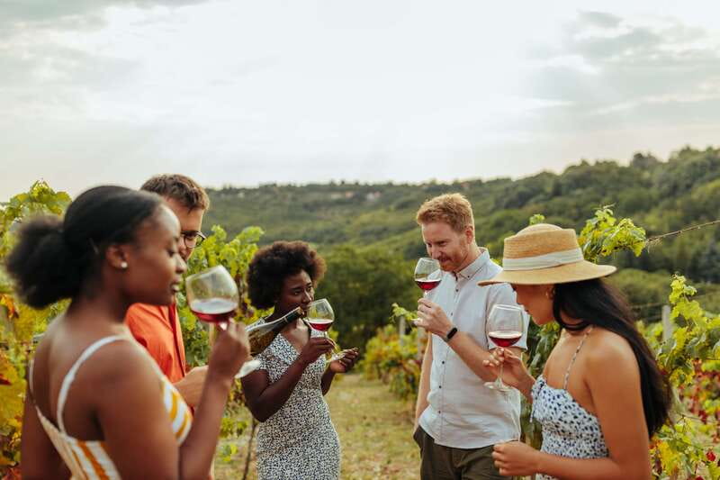 Collingwood: Blue Mountains Wine and Cider Tasting Tour - Georgian Hills adds wine and cider
