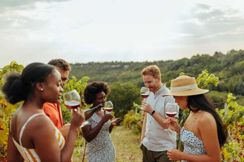 Collingwood: Blue Mountains Wine and Cider Tasting Tour - Why the $152 price can make sense
