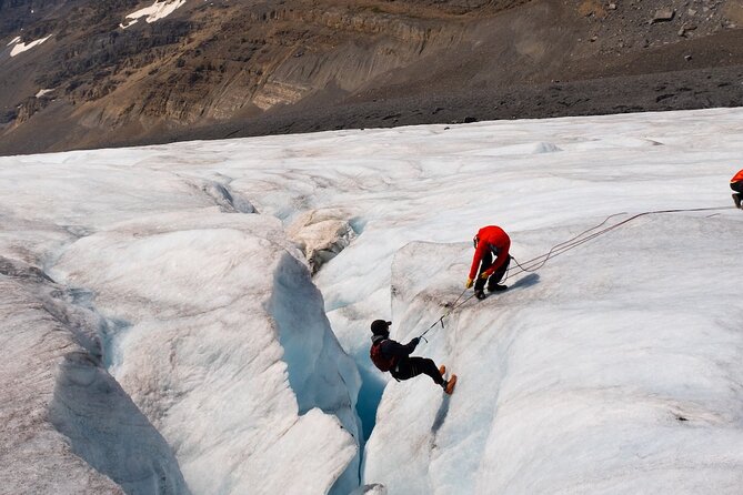 Columbia Icefield Adventure,Bow Lake,Peyto Lake in Banff & Jasper - Peyto Lake and the walk to the famous viewpoint