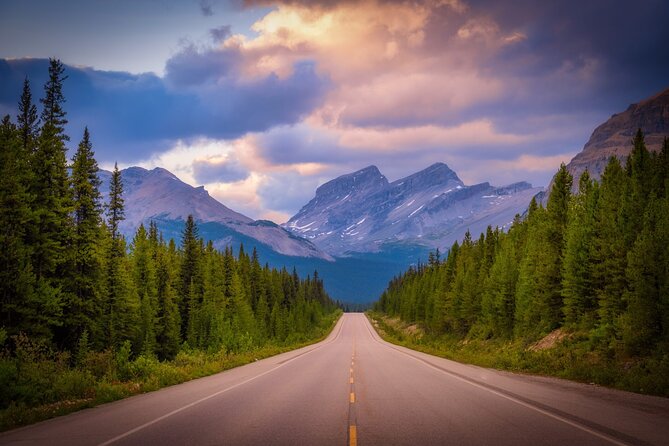 Columbia Icefield Adventure,Bow Lake,Peyto Lake in Banff & Jasper - Waterfowl Lakes and the quieter final views