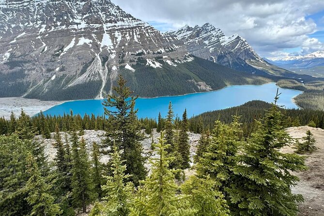 Columbia Icefield, Crowfoot Glacier and Bow ,Peyto Lake Tour - Peyto Lake rewards the short uphill effort