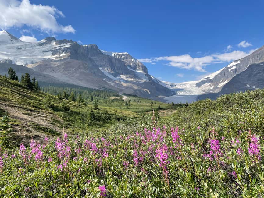 Columbia Icefield: Guided Glacier Hike - Meeting at the Icefield Information Centre