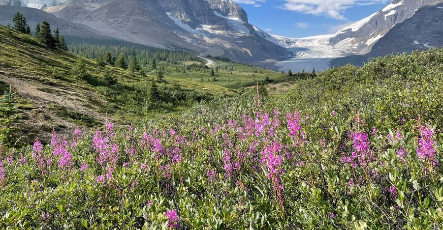 Columbia Icefield: Guided Glacier Hike - The views from the glacier