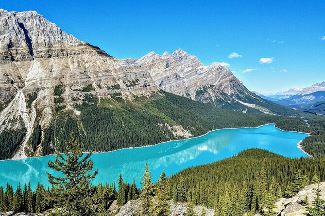 Columbia Icefield,Peyto Lake,Bow Lake Day Trip from Banff/Calgary - Crowfoot Glacier, viewed from the road