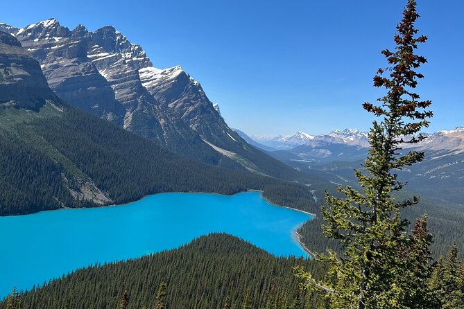 Columbia Icefield Peyto Lake Bow Lake from Calgary Canmore Banff - What the guides add to the experience