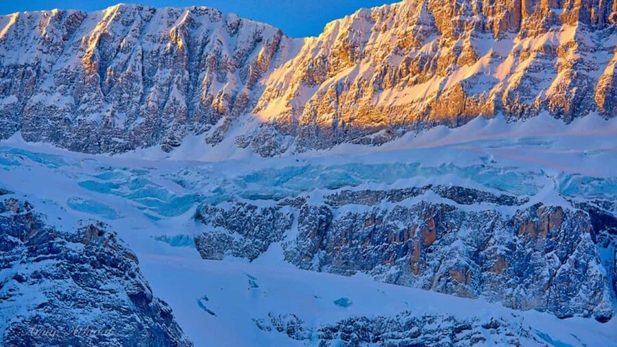 Columbia Icefield, Skywalk, Crowfoot Glacier, and Lakes Tour - Peyto Lake earns its famous reputation