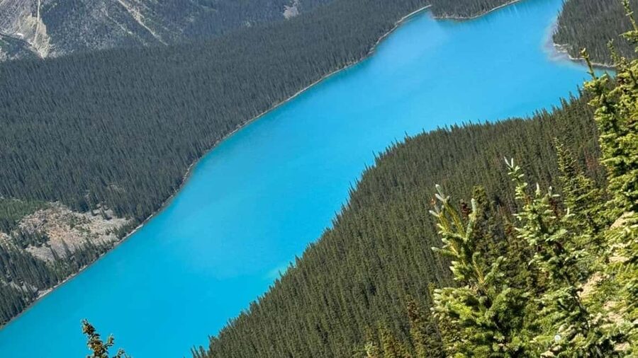 Columbia Icefield, Skywalk, Crowfoot Glacier, and Lakes Tour - Johnston Canyon adds the day’s best short walk