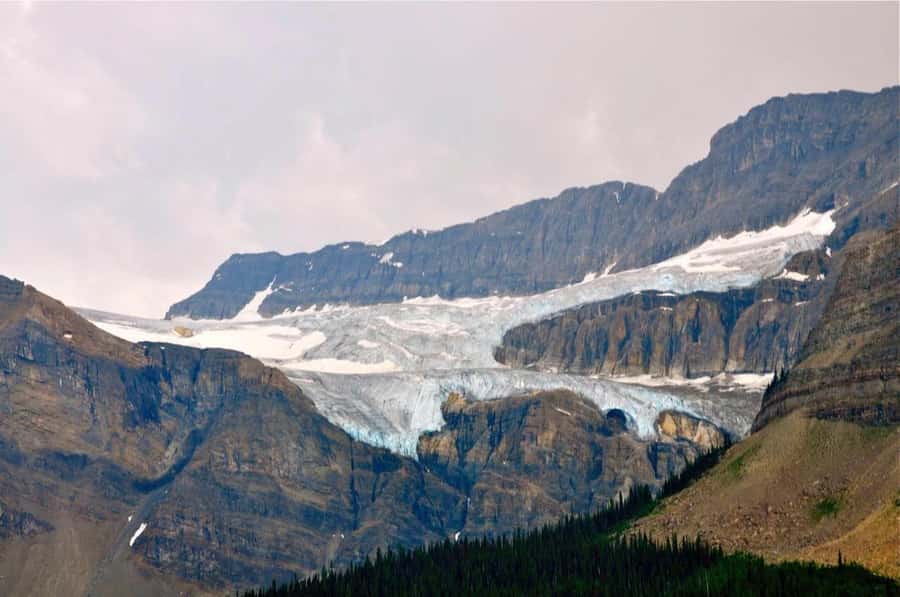 Columbia icefield, Skywalk, Waterfowl, Bow & Peyto Lake Tour - Who should book this tour?
