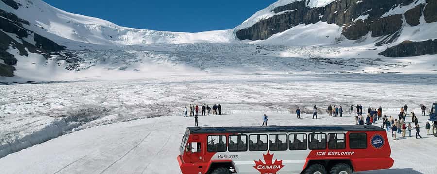 Columbia icefield, Skywalk, Waterfowl, Bow & Peyto Lake Tour - A full Rocky Mountain day from Calgary, Banff, or Canmore