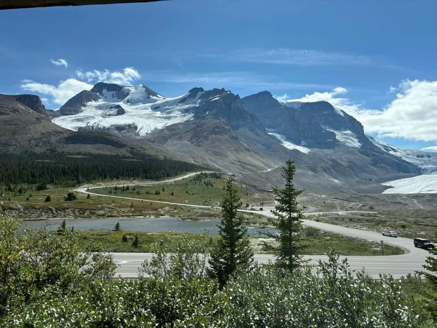 Columbia icefield, Skywalk, Waterfowl, Bow & Peyto Lake Tour - Peyto Lake and that famous blue water