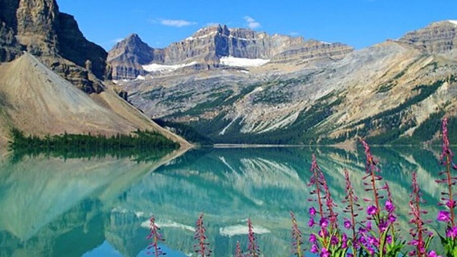Columbia icefield, Skywalk, Waterfowl, Bow & Peyto Lake Tour - The Columbia Icefield is the day’s big finale