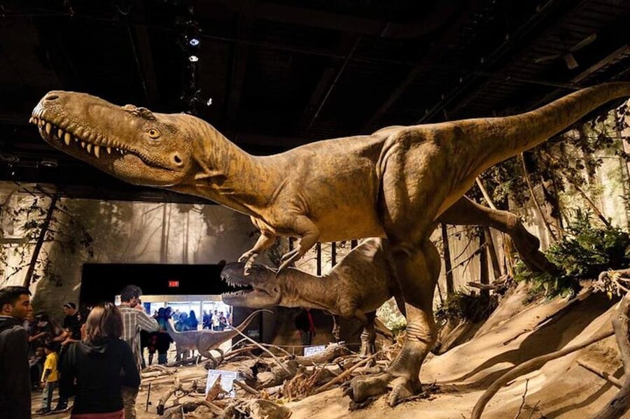 Day of Dinosaurs and Hoodoos From Calgary to the Badlands - What the guide adds to the long drive