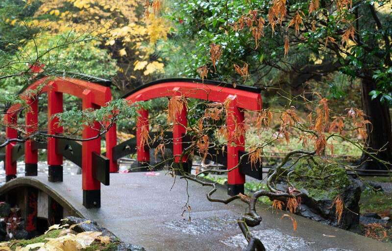 Day Trip from Vancouver to Victoria and Butchart Gardens - The Inner Harbour, Chinatown, and the Royal BC Museum