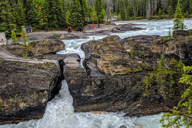 Day Trip: Lake Louise, Moraine Lake, Emerald Lake, Banff - Yoho National Park and the calm of Emerald Lake