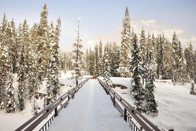 Day Trip: Lake Louise, Moraine Lake, Emerald Lake, Banff - Marble Canyon and the sharp limestone walls