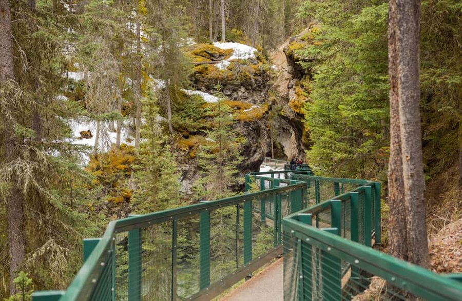 Deep Day Tour to Peyto, Moraine, Louise Lakes, J. Canyon... - Guide style can shape the day