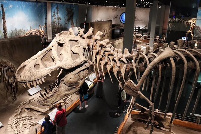 Dinosaurs, Canyons & Ghost Towns: Ultimate Drumheller Day Tour - Who should book this Drumheller outing?