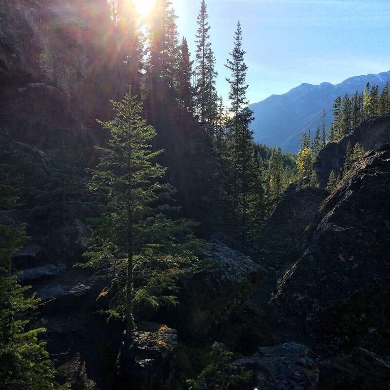 Discover Ancient Pictographs - Guided Canyon Hiking Tour 3H - Walking through the Canadian Rockies for two and a half hours