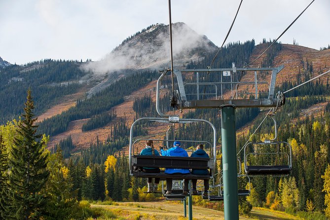 Discover Grizzly Bears from Banff - Takakkaw Falls and the short walk to its base