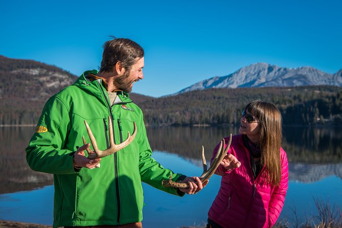 Discover Jasper and its Wildlife - The animals you might find