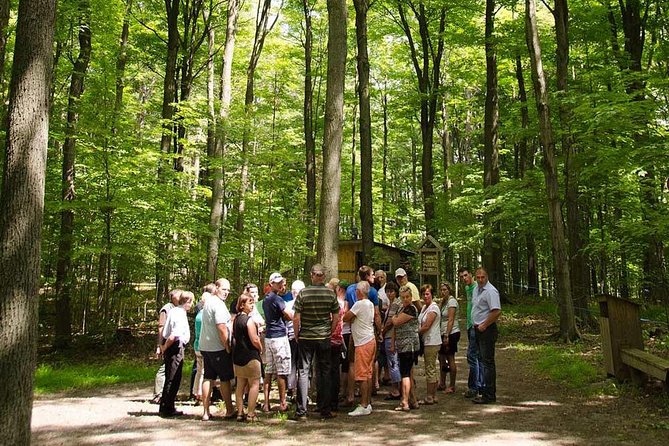 Discover Maple Sugar Bush Tour - Key points to know before you book