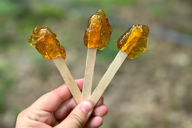 Discover Maple Sugar Bush Tour - Why this farm visit is different from a syrup shop