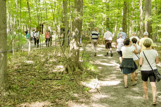 Discover Maple Sugar Bush Tour - Adding a maple tasting board