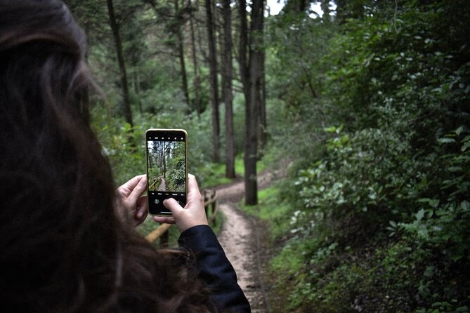 Discover the Lake Agnes Tea House Trail with an Audio Nature Tour - Mirror Lake and Big Beehive Peak