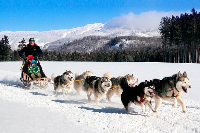 Dogsled Diable Adventure in Mont-Tremblant - Starting at the Diable dogsled base