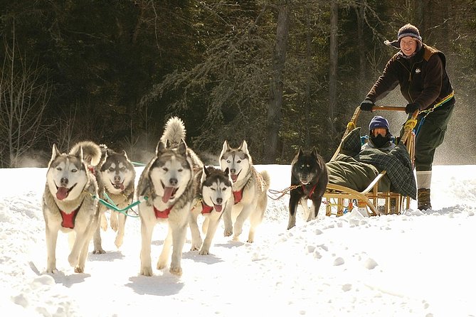Dogsled Diable Adventure in Mont-Tremblant - Taking the sled onto the valley trails