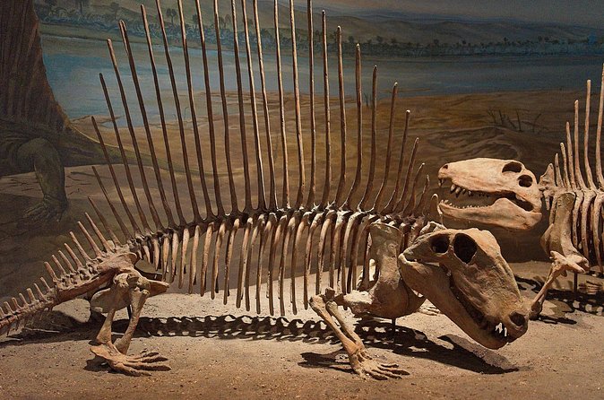 Drumheller and Badlands Full-Day Tour with a Small Group - East Coulee provides the lunch break