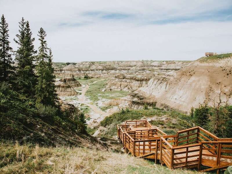 Drumheller: Bad Land & Dinosaur Museum Tour from Calgary - Who will enjoy this Drumheller day trip