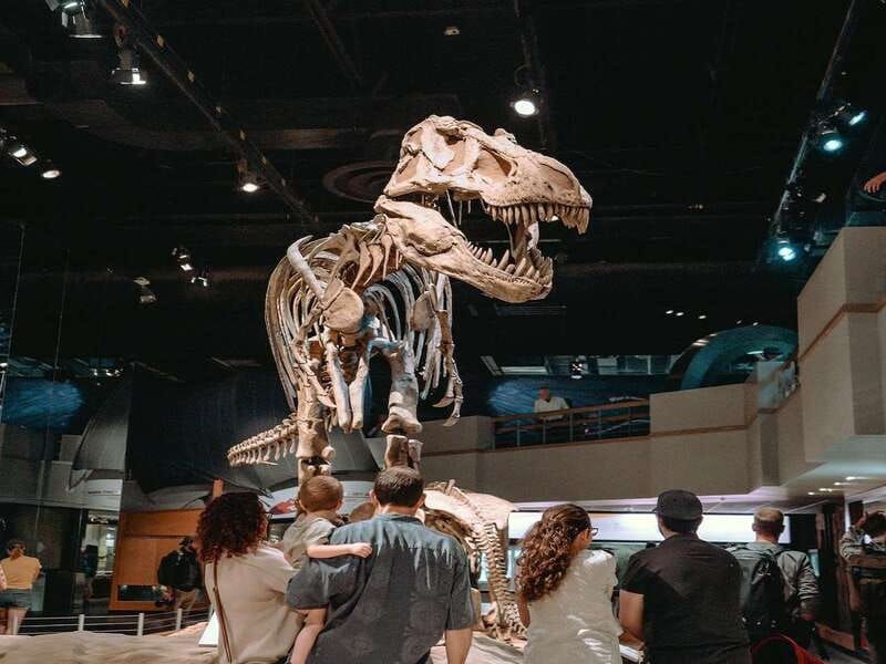 Drumheller: Bad Land & Dinosaur Museum Tour from Calgary - Ninety minutes inside the Royal Tyrrell Museum
