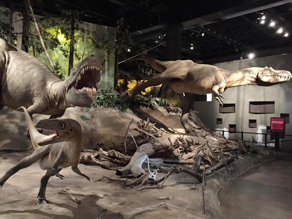 Drumheller Dinosaur Valley & Horseshoe Canyon Adventure Day Tour - Key points to know before booking